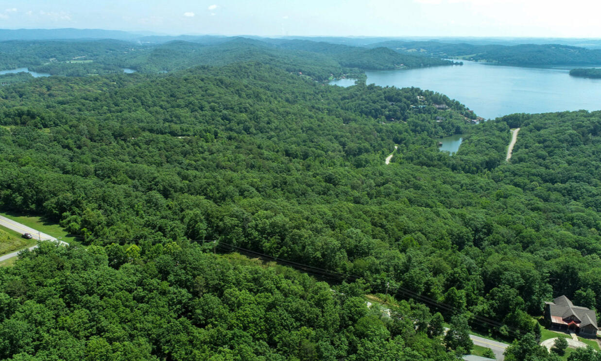 Lakefront and Interior Lots